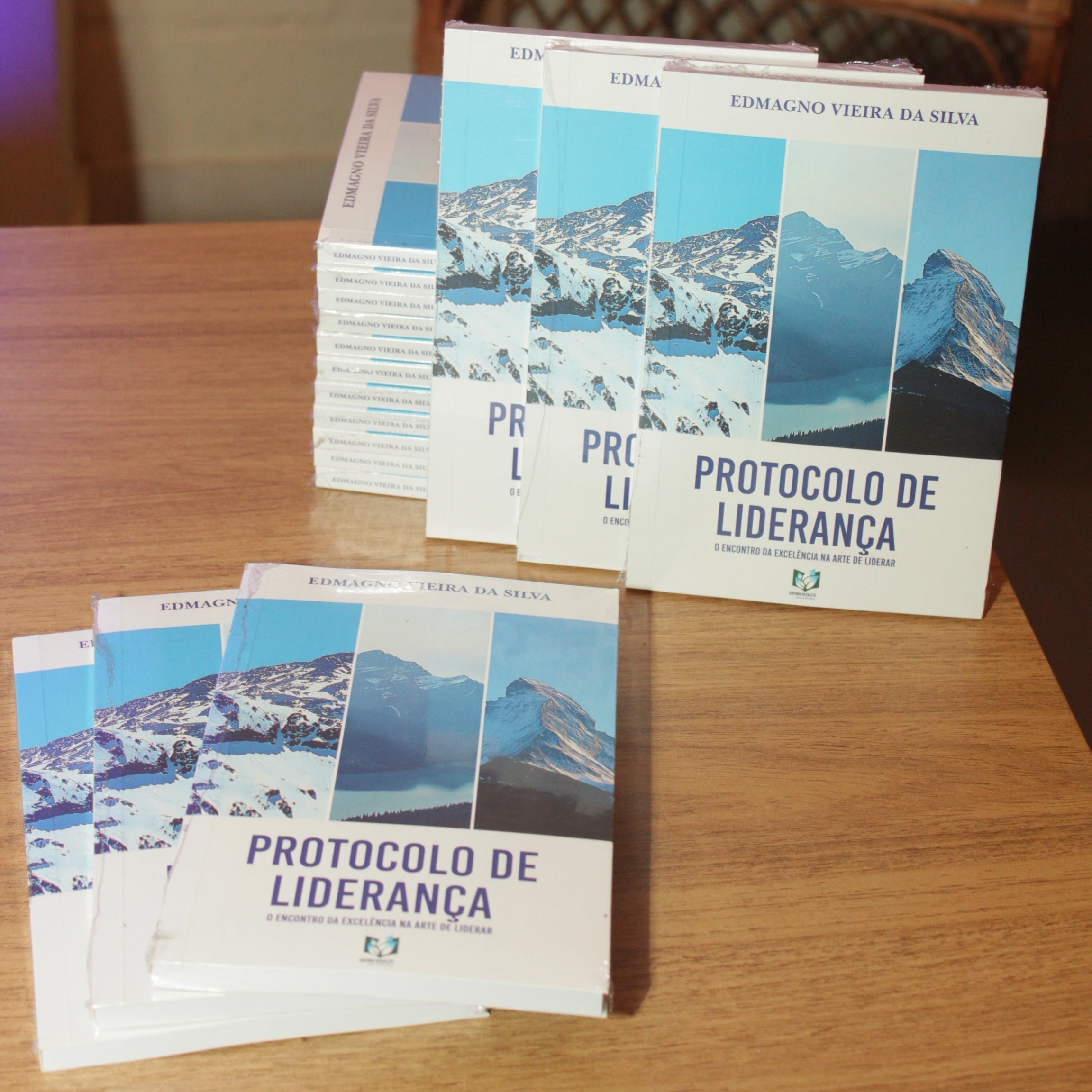 Livro Protocolo de liderança - Bispo Edmagno Vieira