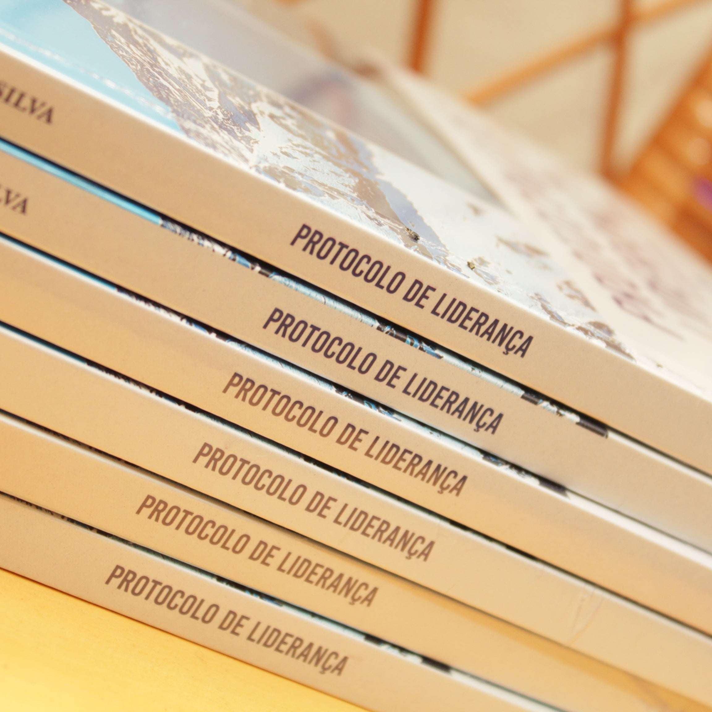 Livro Protocolo de liderança - Bispo Edmagno Vieira