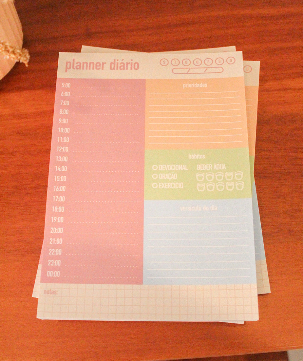 Planner Diário